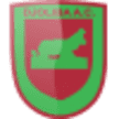 دجوليبا المالي